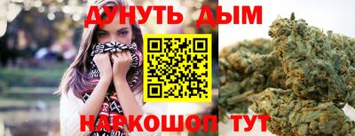 индика Кинель