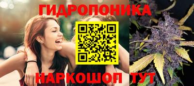 бутират Кимры