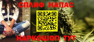 индика Кинель