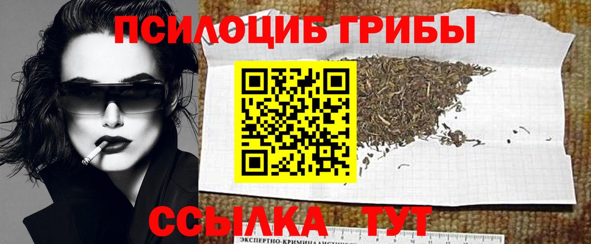 Псилоцибиновые грибы Cubensis  Вход с VPN  Дедовск 